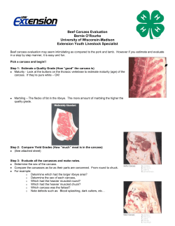 Beef Carcass Evaluation