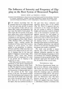 The Influence of Intensity and Frequency of Clip