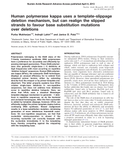 Human polymerase kappa uses a template