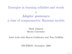 Synergies in learning syllables and words or Adaptor grammars: a