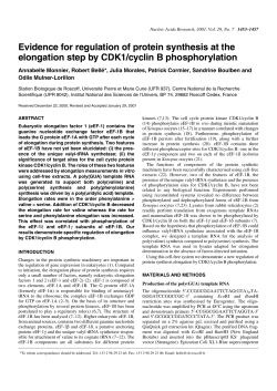 Evidence for regulation of protein synthesis at the elongation step by