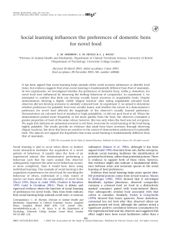 Social learning influences the preferences of domestic hens for