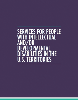 Services for People with Intellectual and/or Developmental