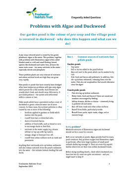 Algae and Duckweed - Freshwater Habitats Trust