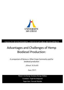 Advantages and Challenges of Hemp Biodiesel Production
