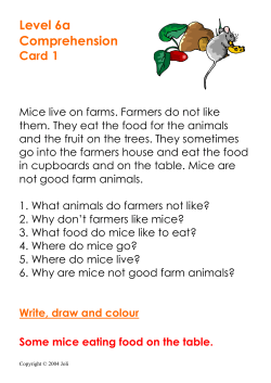 Level 6a Comprehension