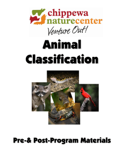 Animal Classification - Chippewa Nature Center