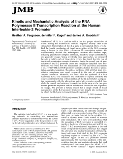 Kinetic and Mechanistic Analysis of the RNA Polymerase II