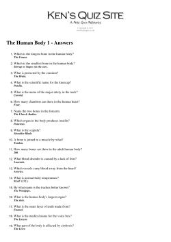 The Human Body 1