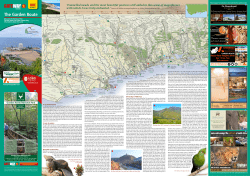 The Garden Route