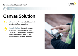 Canvas Solution - Sprint Business