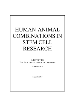 human-animal combinations in stem cell research