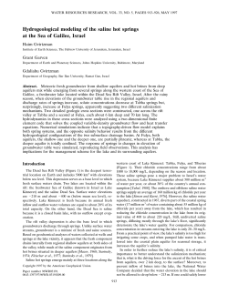 Hydrogeological modeling of the saline hot springs at the Sea of