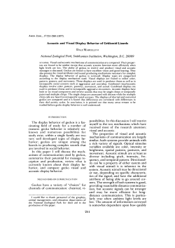 Acoustic and Visual Display Behavior of Gekkonid Lizards The