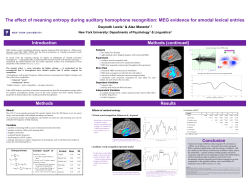 The effect of meaning entropy during auditory homophone