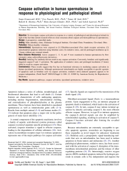 Caspase activation in human spermatozoa in response to