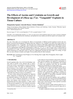 The Effects of Auxins and Cytokinin on Growth and Development of