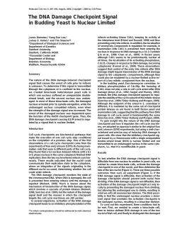 The DNA Damage Checkpoint Signal in Budding