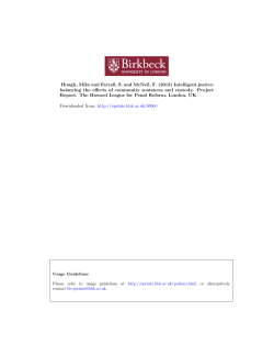 Intelligent justice: balancing the effects of community sentences and