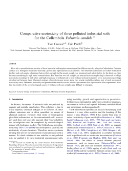 PDF (Author`s version )