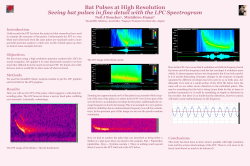 Bat Pulses at High Resolution