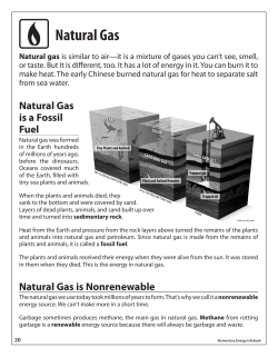 Natural Gas - Switch Energy Project