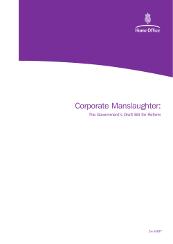 HSC/05/63b::HSC Paper - Corporate Manslaughter Bill