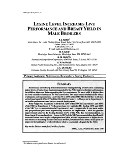 lysine level increases live performance and breast yield in male