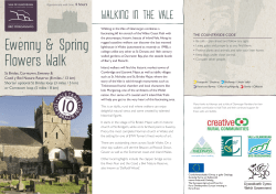 Ewenny and Spring Flowers Walk