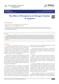 The Effect of Phosphorus in Nitrogen Fixation