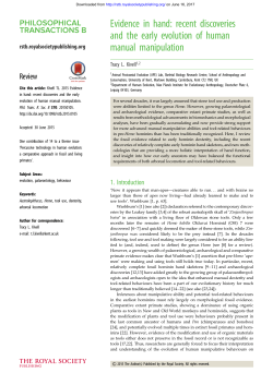 Evidence in hand: recent discoveries and the early evolution of