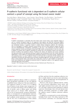 Pcadherin functional role is dependent on Ecadherin cellular context