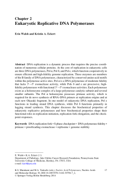 Eukaryotic Replicative DNA Polymerases