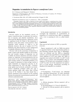 Dopamine Accumulation in Papaver somniferum Latex
