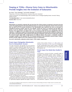 Review Peeping at TOMs&mdash;Diverse Entry Gates to Mitochondria