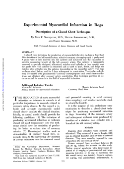 Experimental Myocardial Infarction in Dogs