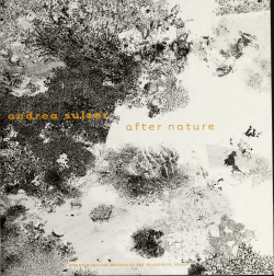 Andrea Sulzer: After Nature