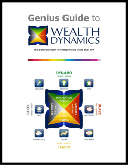 Now - Wealth Dynamics Profile Test