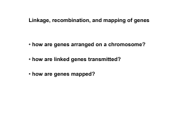 Linkage, recombination, and mapping of genes &bull; how are genes
