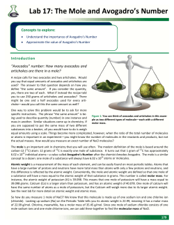 Lab 17: The Mole and Avogadro`s Number