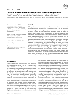 Genesis, effects and fates of repeats in prokaryotic genomes