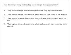 How do nitrogen-fixing bacteria help cycle nitrogen