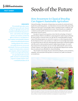 How Investment in Classical Breeding Can Support Sustainable