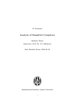 Analysis of Simplicial Complexes