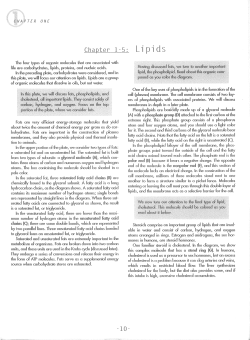 chapter one