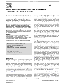Motor primitives in vertebrates and invertebrates