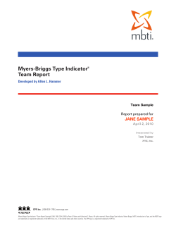 MBTI Team Report