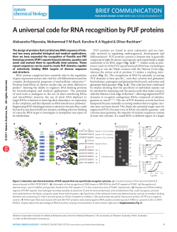 A universal code for RNA recognition by PUF proteins