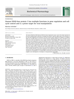 Human DEAD-box protein 3 has multiple functions in gene