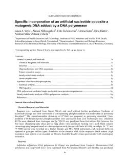 Specific incorporation of an artificial nucleotide opposite a